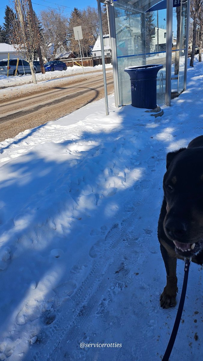 It's day 120 of reminding the <a href="/CityofEdmonton/">City of Edmonton</a> that it is not an "inconvenience" when disabled residents can't utilize city facilities, access public transit or participate in taxpayer funded events because of barriers to accessibility. It's a human rights issue. They should know