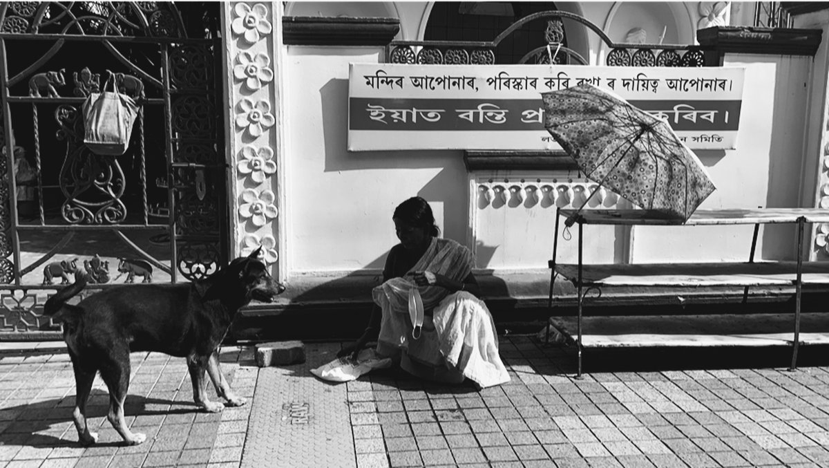 RagavanShruti's tweet photo. @kashqueeri @SnehaGutgutia @Shubhangi1057 &amp; I use an entanglements framework to think/write about animals' geographies from an overlooked city #Guwahati - a 'South within the South' in @ScotGeogJournal. 
@UEcologies 

Do take a look: https://t.co/KBuIexPvSJ https://t.co/6pN6WMMIh0