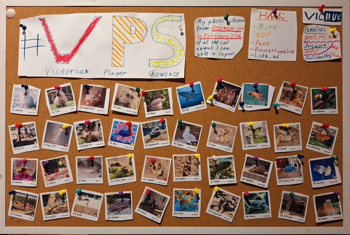 VIC Hub | 2016 - 2024 tweet media