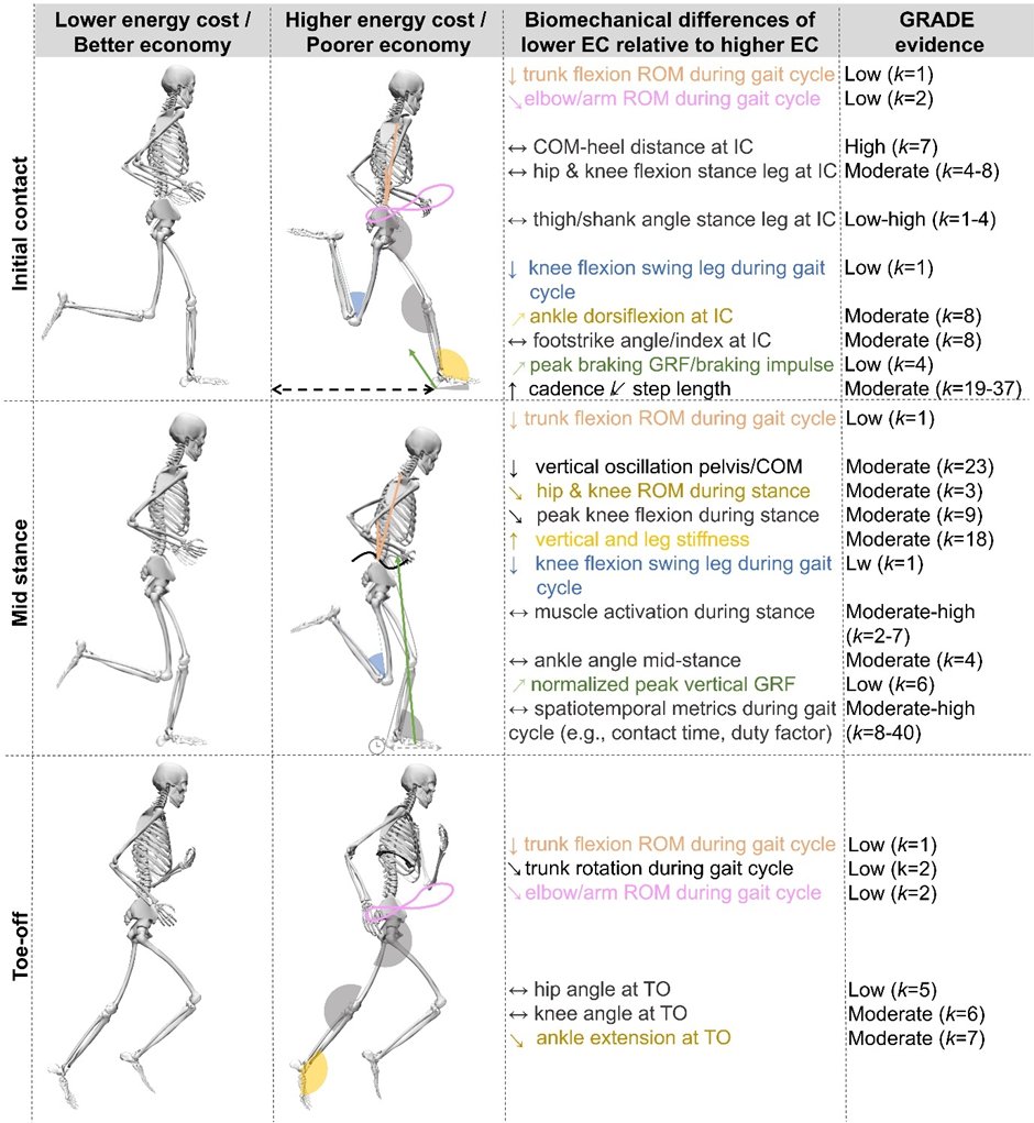 What is the most efficient way to run according to science? Find our in our new super comprehensive FREE review with meta-analysis: link.springer.com/article/10.100… Key findings in the fig below, but many more details & applications in the paper Short thread below #running #science