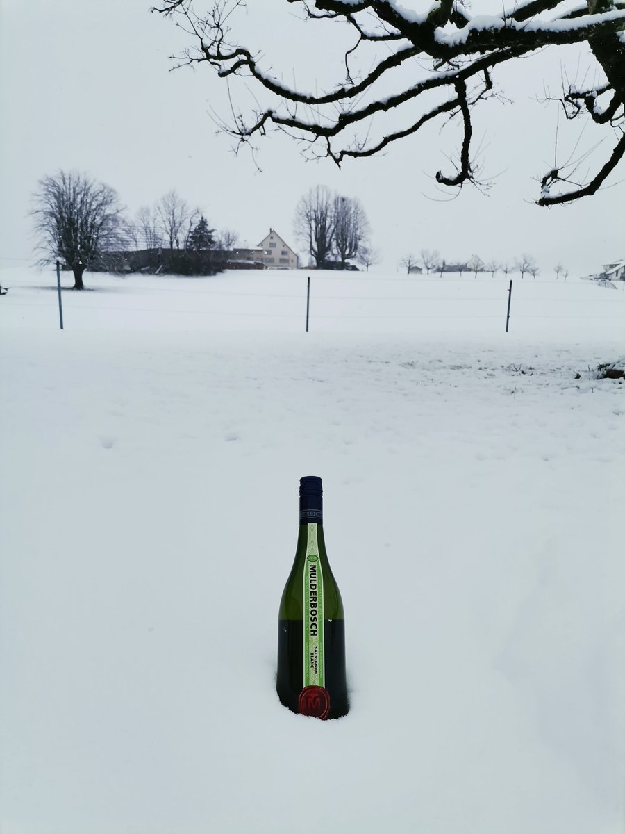 Snowy with a chance of Sauvignon Blanc in Switzerland! 

#SauvignonBlanc #Switzerland #MulderboschVineyards