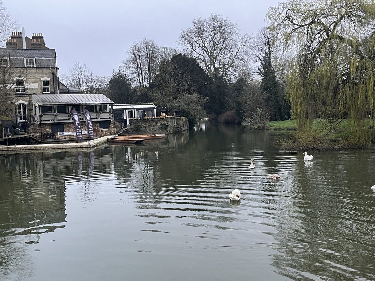 Cambridge 7 March 2024 07:00 very humid, very cold, calm, 2.8 C