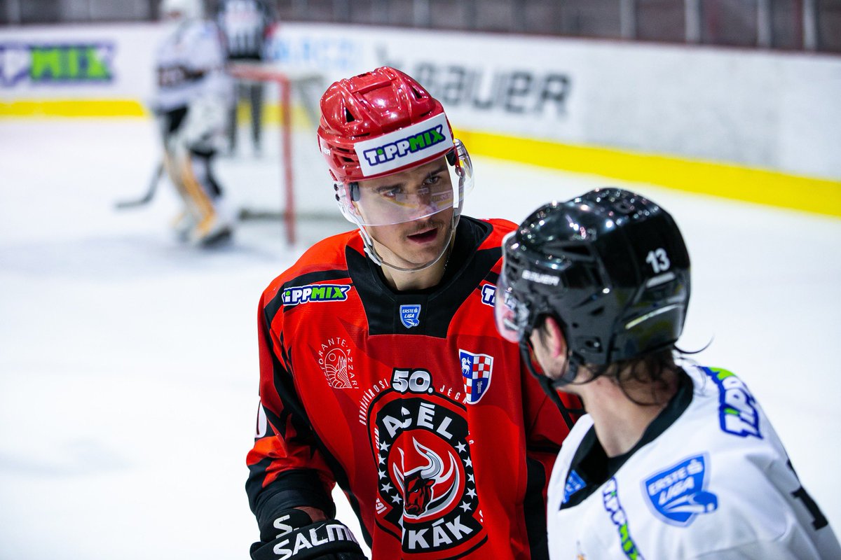 vaculik21's tweet photo. Erste liga hockey 🏒🇭🇺 https://t.co/pho30CHAeo