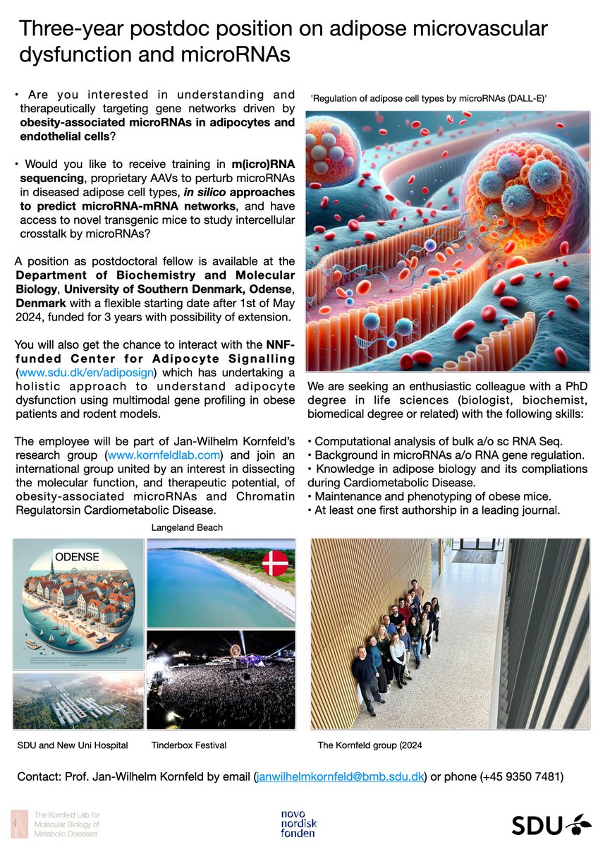 Jan-Wilhelm Kornfeld 🇺🇦🇮🇱🇵🇸 (@kornfeld_janw) on Twitter photo We are #hiring . Please help spread the word ↪:
3-year Postdoc project 🔬 on microRNA gene-regulation and intercellular crosstalk in the obese adipose tissue microenvironment (see below).
1-year 0.5 FTE R project on adipocyte-mediated gene therapies for cancer cachexia 🏥. We are #hiring . Please help spread the word ↪:
3-year Postdoc project 🔬 on microRNA gene-regulation and intercellular crosstalk in the obese adipose tissue microenvironment (see below).
1-year 0.5 FTE R project on adipocyte-mediated gene therapies for cancer cachexia 🏥.