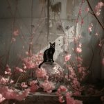 Photo by AP🐈‍⬛ (@ladrianap)