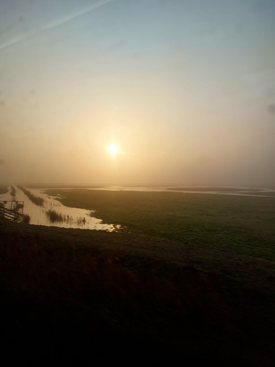 Watching the sun is trying to break through the fog from the comfort of a train seat...