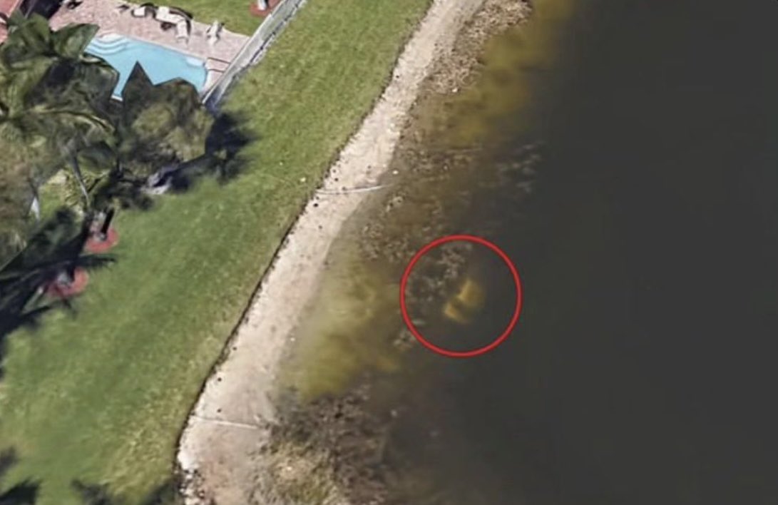 In 2019, a man using Google Earth to check out his old neighbourhood in Florida discovered the remains of a man who had been missing for 22 years. 

The satellite images revealed the guy's car submerged in the shallows of a lake. The skeletal remains were of William Moldt, who…
