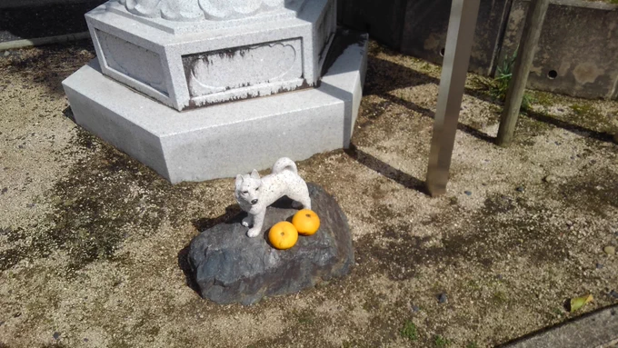 南総里見八犬伝ゆかりの大岳院にお参りしました。 