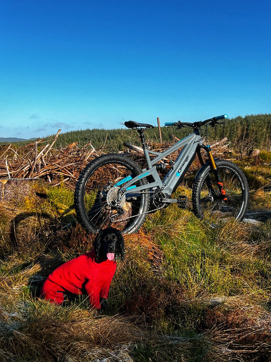 mtbwales tweet media