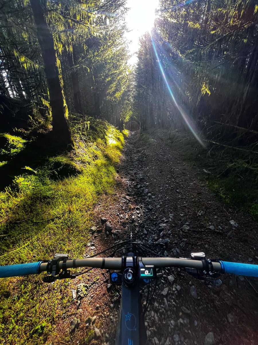 mtbwales tweet media