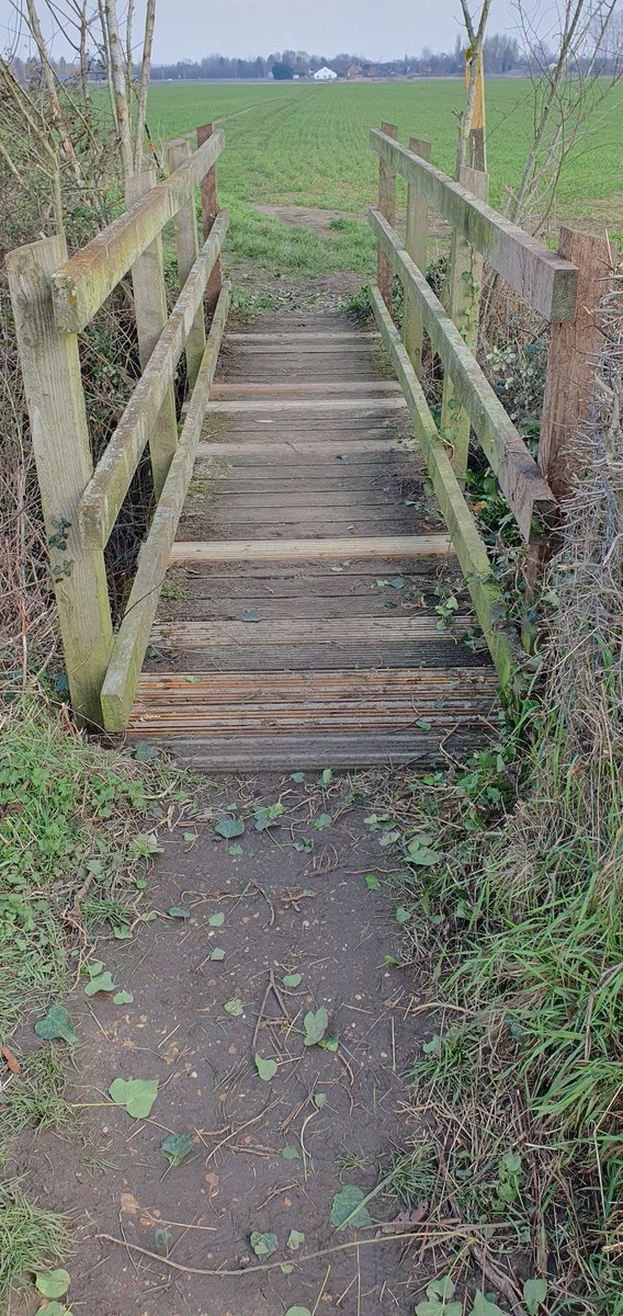 6 new wooden slats installed and clearance done on a footbridge near Upper Caldecote, Biggleswade, Beds, @NB_Ramblers @RamblersGB @letstalkcentral