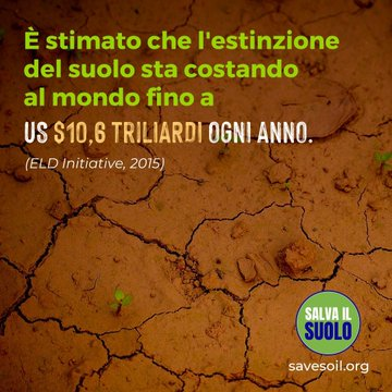 AlsoliCinzia's tweet photo. Le risorse economiche necessarie per attuare il PNACC devono essere stanziate e previste nella legge di bilancio: la gestione del #suolo è la priorità! Politici, sostenete Il progetto #LIFEADA!
#SaveSoil #SaveSoilFixClimateChange
@FrancescoLollo1
@reterurale
#agricoltura #impresa https://t.co/65uQFcMGMn