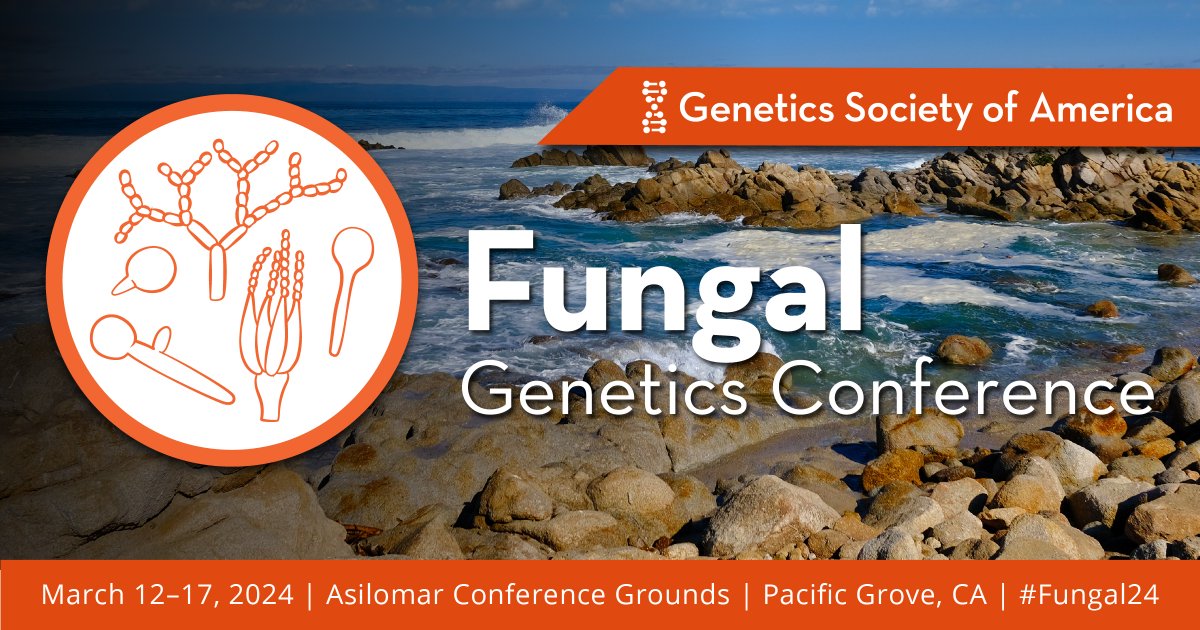 RedkarAmey's tweet photo. I am going to attend #Fungal24 next week and have two talks lined up in #Fusariumworkshop and CS #Multitrophic fungal interactions. If you are attending stop by to say hello, discuss science and common interests. Looking forward to 🇺🇸🍄🏖️ 🌊🤩#fungal24 #genetics @NCBS_Bangalore https://t.co/K33KF1oGRF