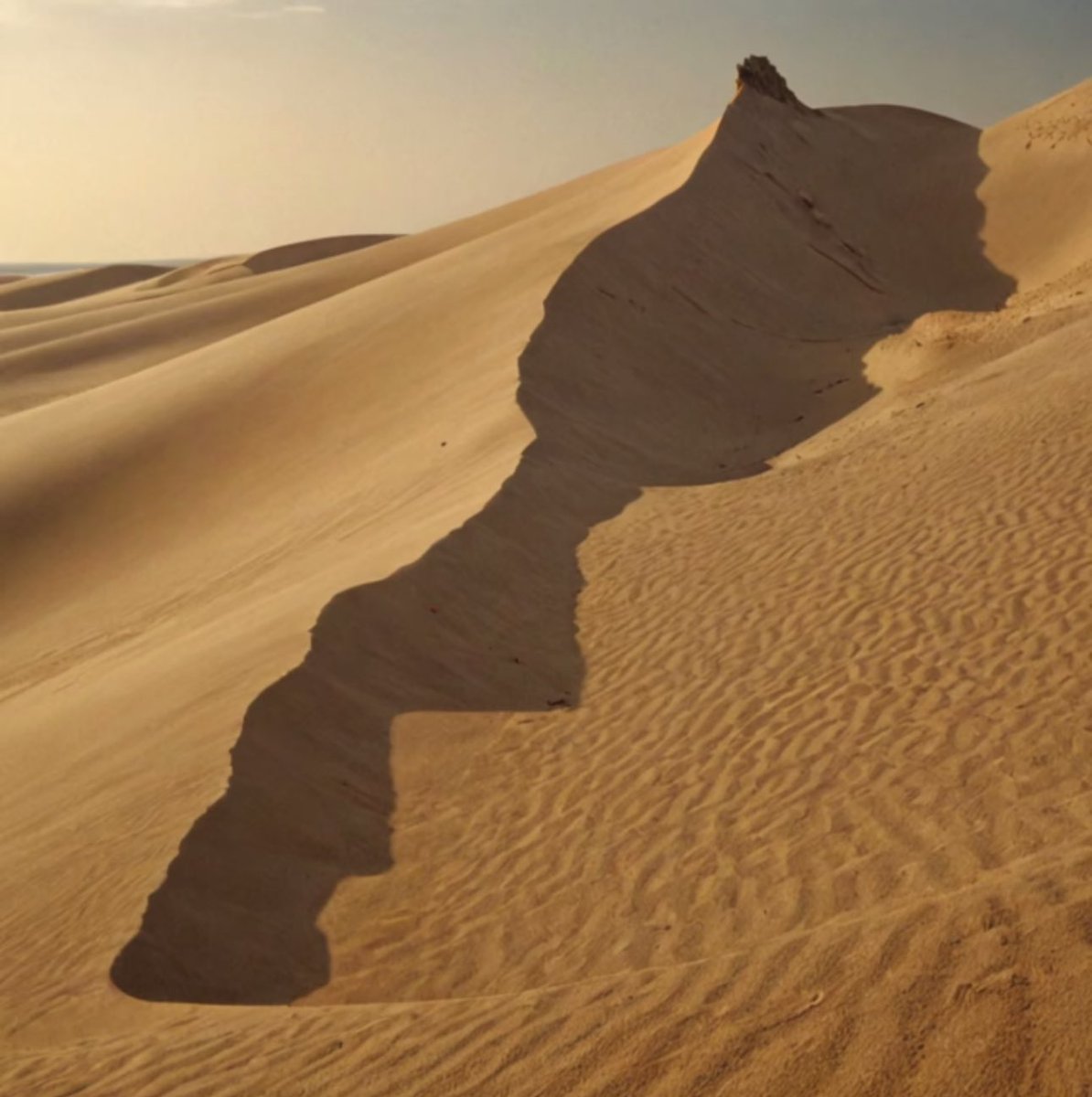 MoroccoNews's tweet photo. 🇲🇦 le Maroc et son Sahara 🏜️🇲🇦 https://t.co/mAIE1aIkRC