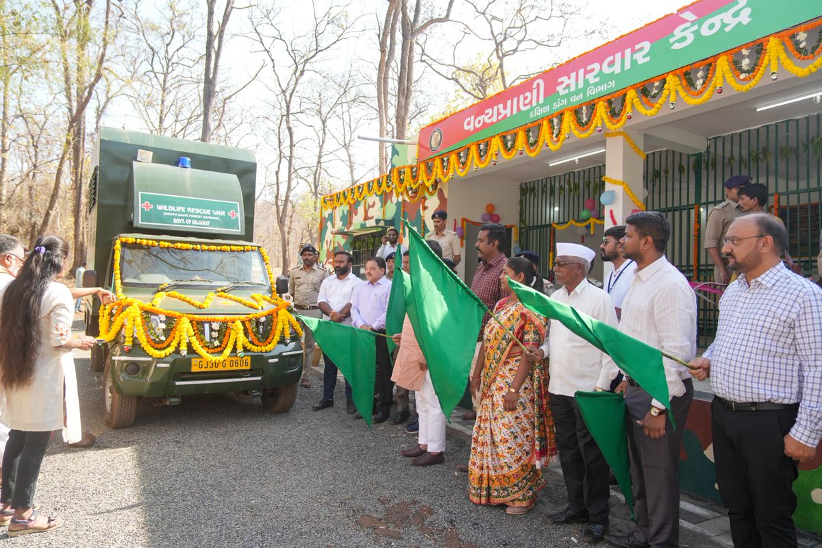 DCF South Dang tweet media