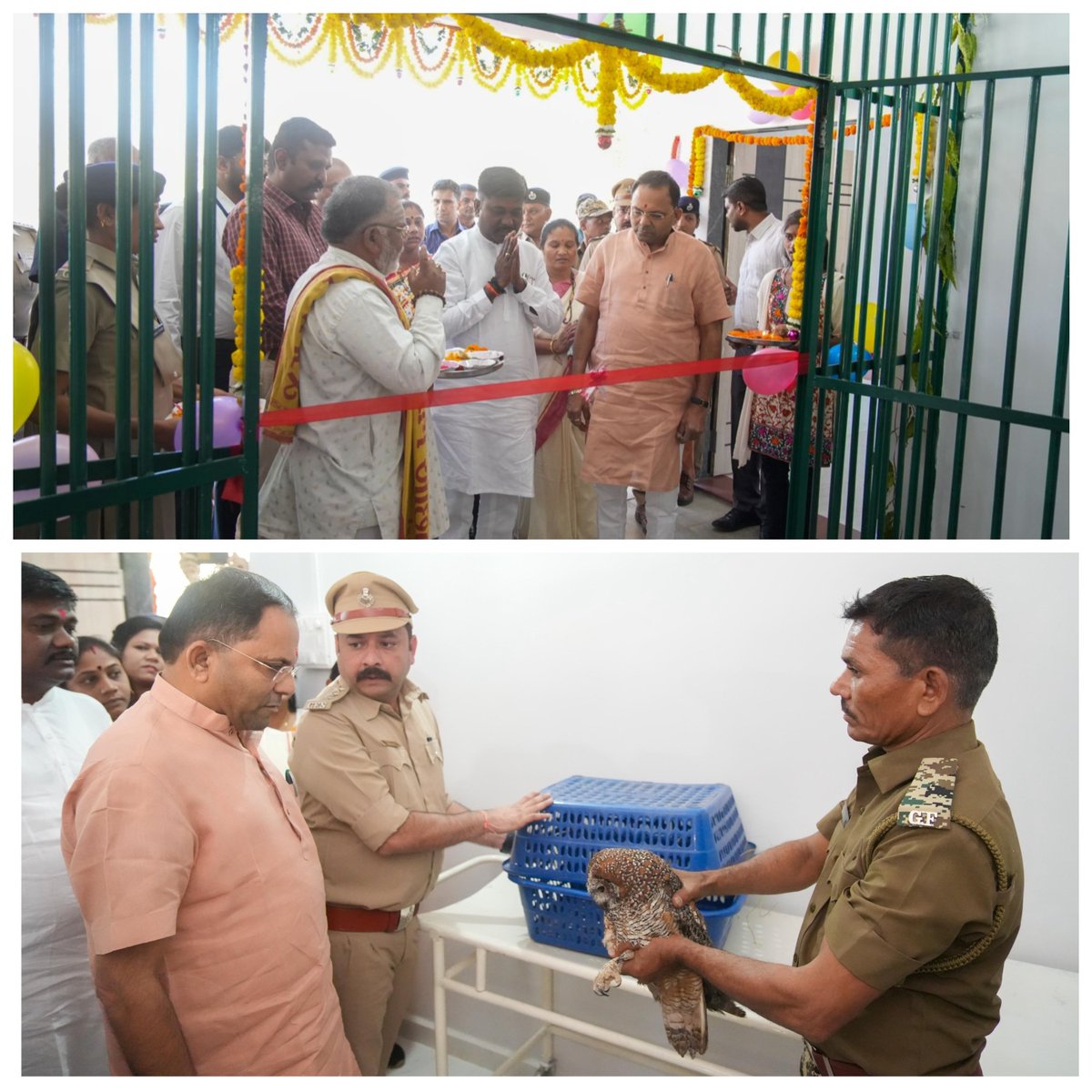 DCF South Dang tweet media