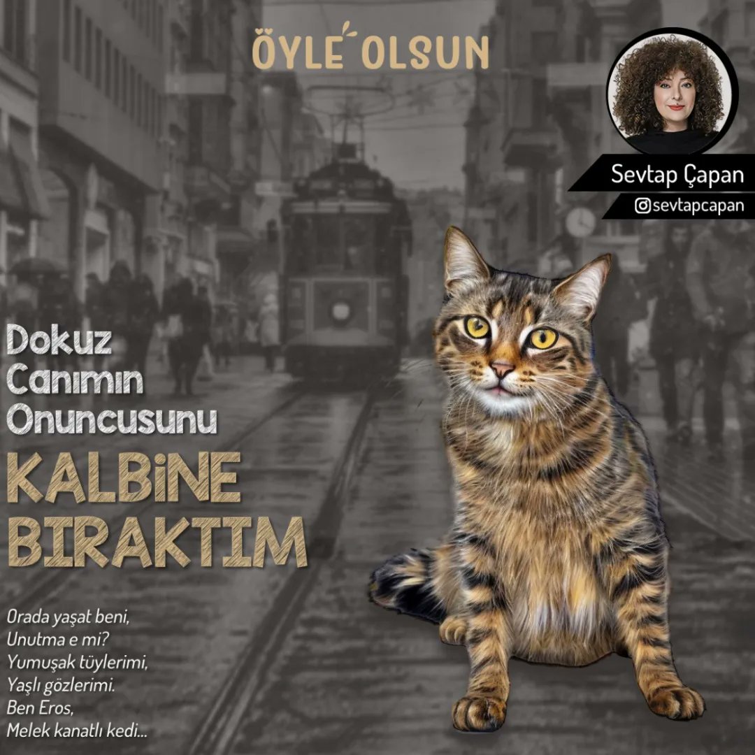 Yeni yazım Eros için... Hiçbir can incinmesin! 
#oku #okut 
oyleolsun.com/?fbclid=PAAaYK…