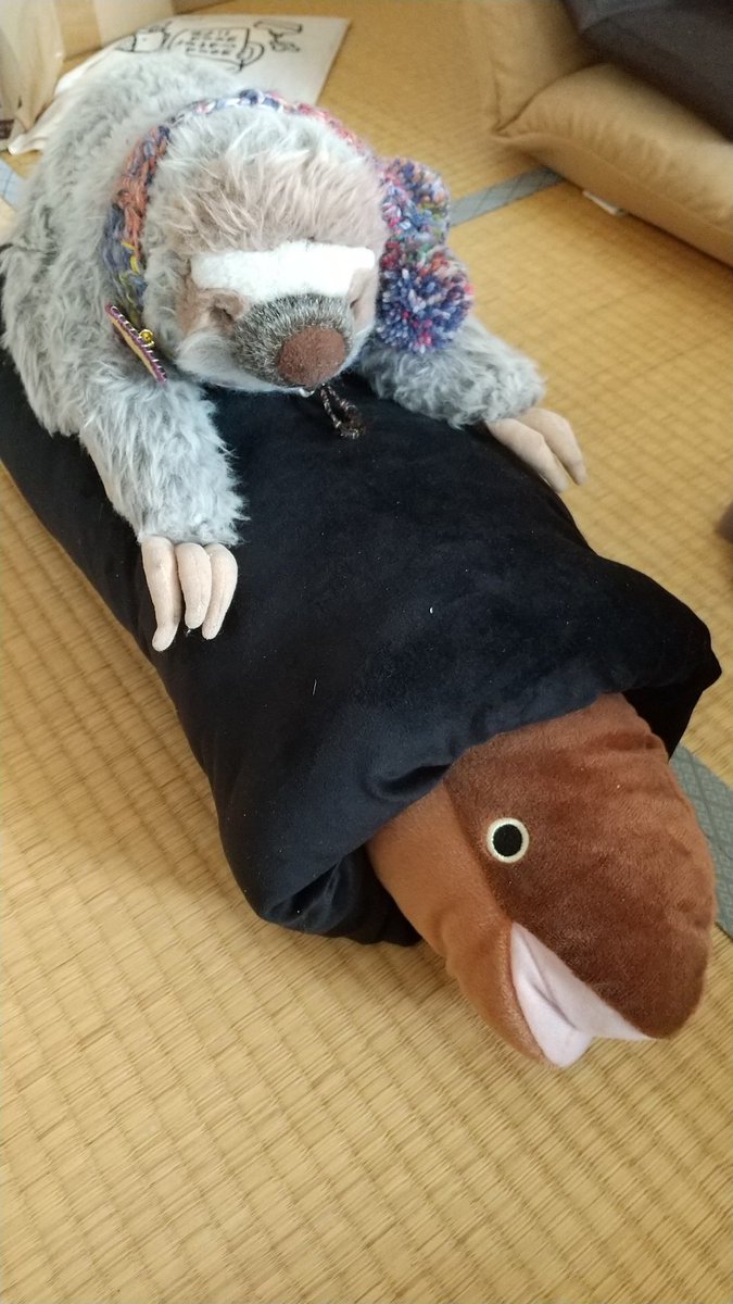 買っちゃった！ アナゴ 巻き寿司クッション。 まさかチンアナゴじゃ