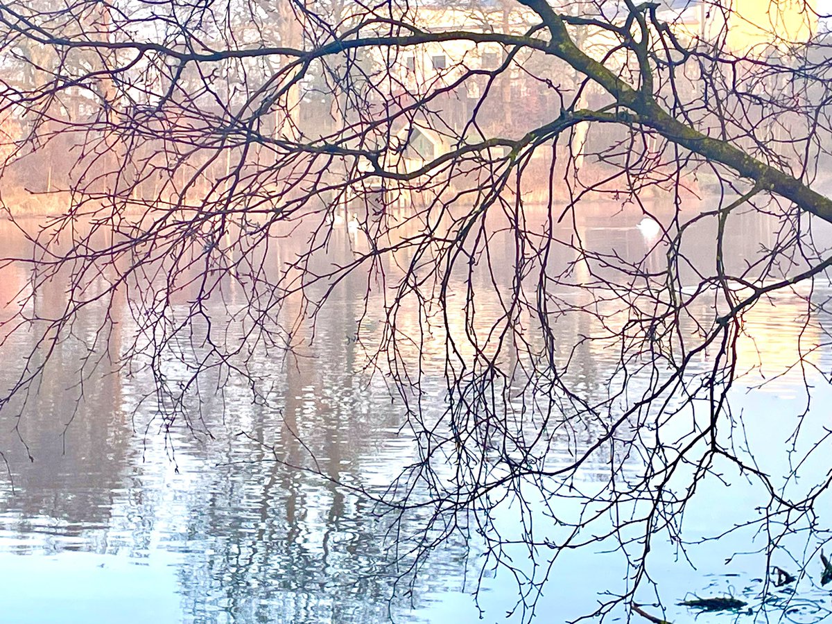 LHSArtandDesign's tweet photo. Beautiful Thursday morning to look at but absolutely freezing   on the loch. #scotchmist #GoldenHour #larbert https://t.co/RXrVC8gQmV