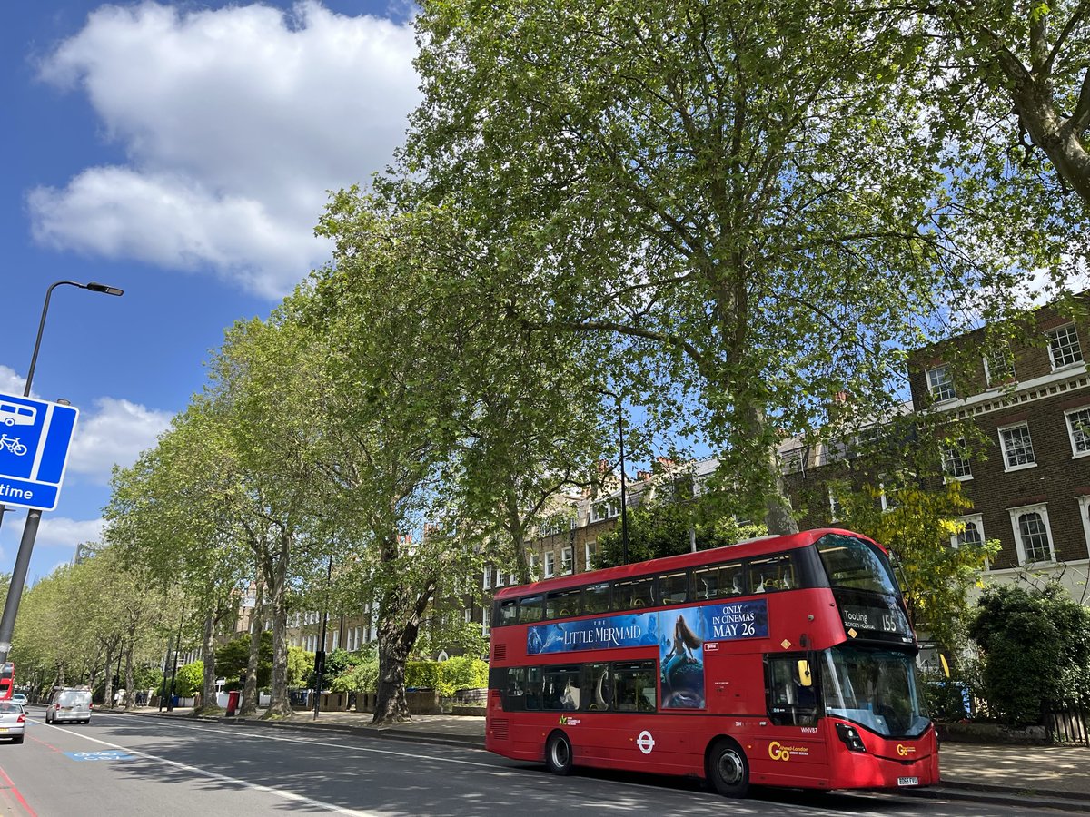 A lesser known benefit of the humble street tree🌳 is its ability to reduce urban noise🚗🥁  

How?👇
🛑Reflect sound  
🧽Absorb sound vibrations 
🎶Create white noise – wind through leaves  

Trees &amp; other vegetation help create a calmer space for us to live🧘
👉<a href="/TreesforStreets/">Trees for Streets</a>