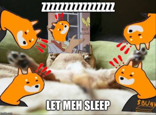 bunkcommunity's tweet image. Bruddas my mom went to slep time to pump itz up BUNK BUNK BUNK 
#Degenhours #bONK #BUNK