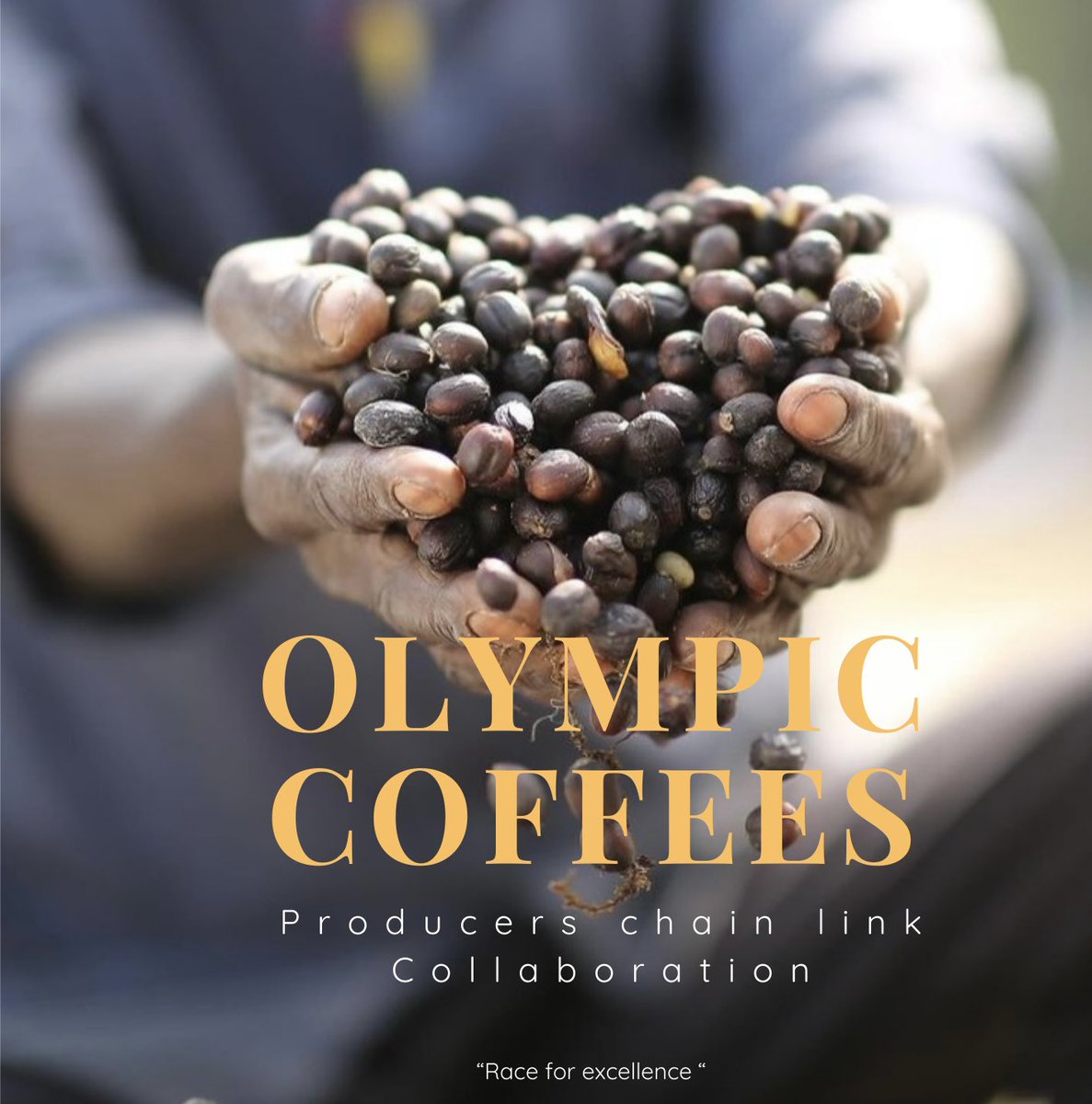Origin_Cseries's tweet photo. We look forward to collaborating with different players in the chain providing access to exceptional coffees representing a whole producer’s chain link. 
We are excited and can’t wait ☕️ https://t.co/Q0GJZE9VtQ