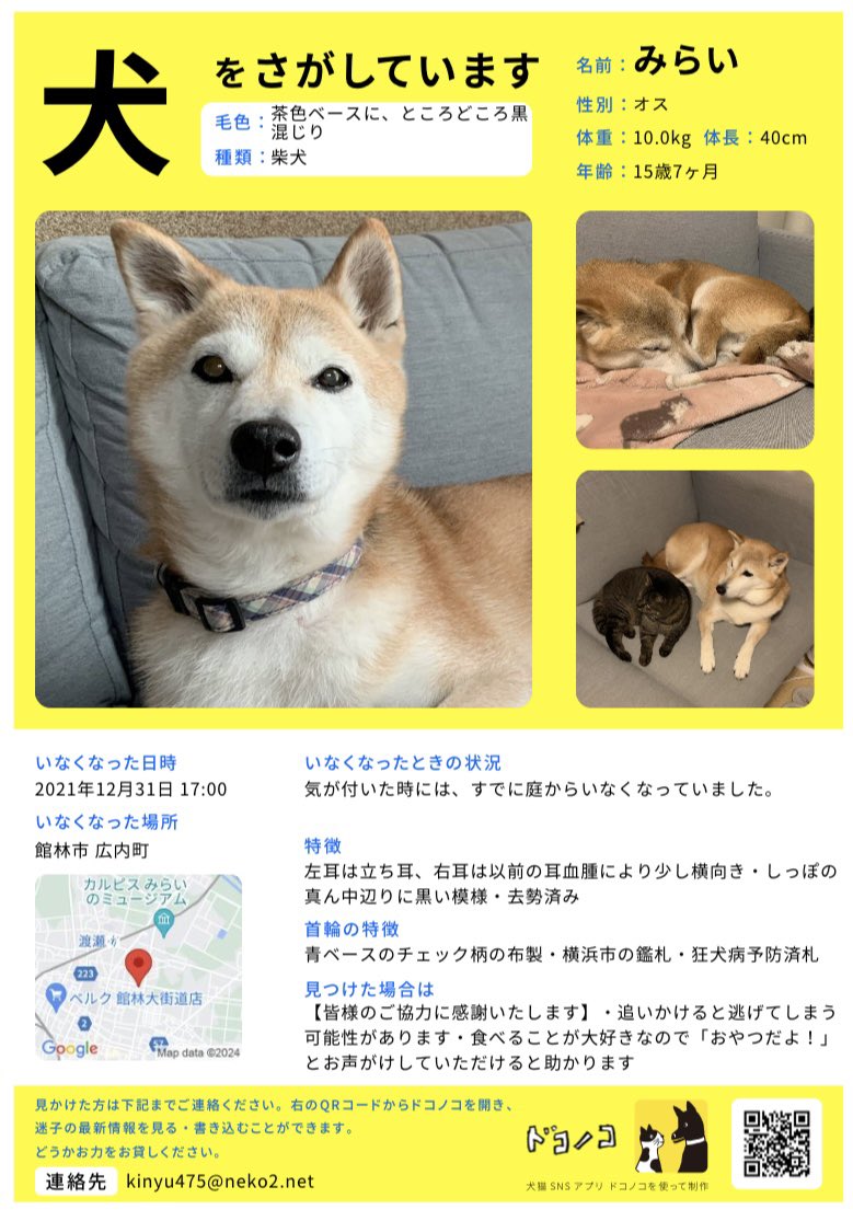 【2024年3月更新】

2021年12月31日より大事な家族を迷子にさせてしまいました。
似ている犬をみかけましたら、DM又は下記のメールアドレスまでご連絡をいただけましたら幸いです。

#拡散希望RPご協力お願いいたします #迷子犬 #柴犬 #群馬県 #館林市 #埼玉県
#栃木県 #茨城県