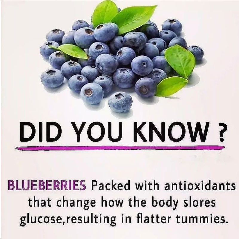 OrganicLiveFood's tweet photo. Blueberries' anthocyanins are responsible for improving vascular and cerebral blood flow, which are some of the likely mechanisms behind healthy cognitive function. Anthocyanins are polyphenols, a family of plant-based compounds increasingly associated with health benefits 🫐