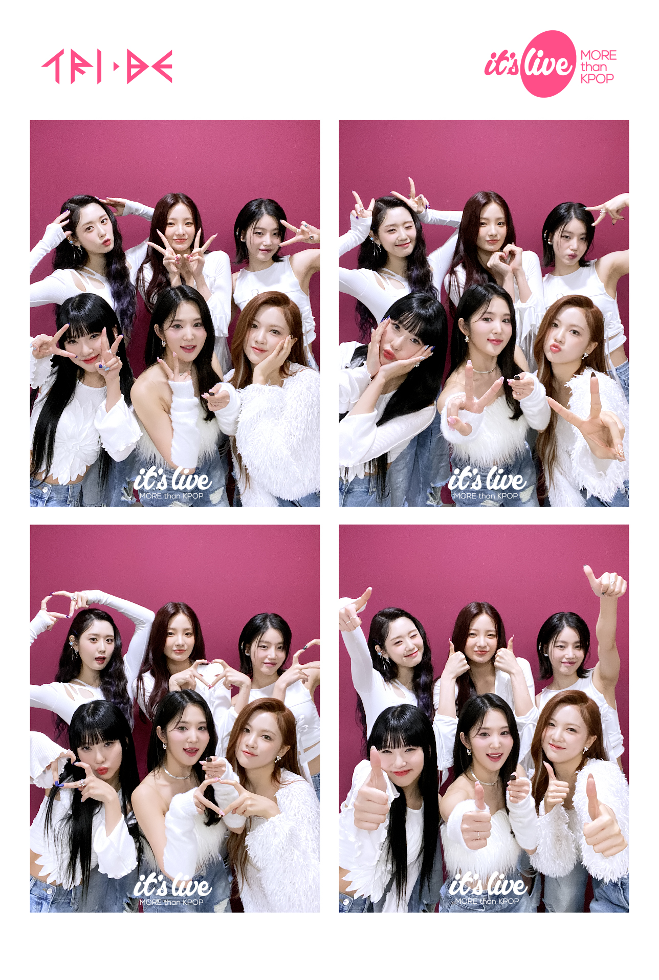 GIDWuvCaIAAhWqS?format=jpg&name=large