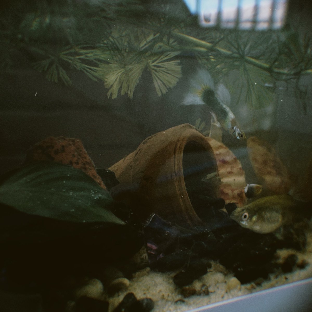 RW. (@run_a_ways) on Twitter photo 