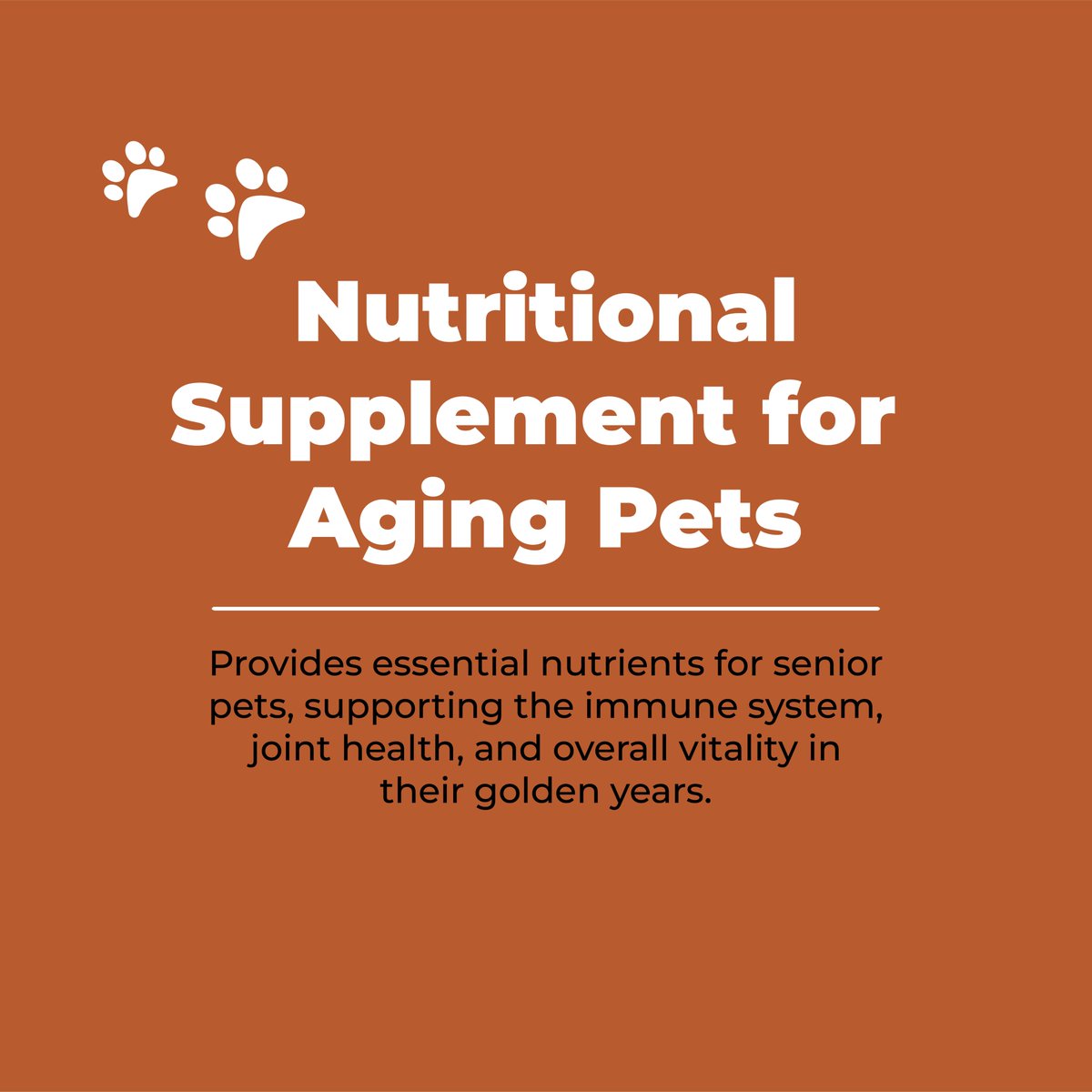 TitanBiotech's tweet photo. Cow Colostrum & Pet Nutrition: A solution for pet fitness and vitality. Manage weight and support lean muscle in pets. Ideal for older pets, providing essential nutrients for immunity & joint health.
Contact us-https://t.co/IluKLo8WYC
#titanbiotechltd #cowcolostrum #petfitness https://t.co/RvrhtdHGPM