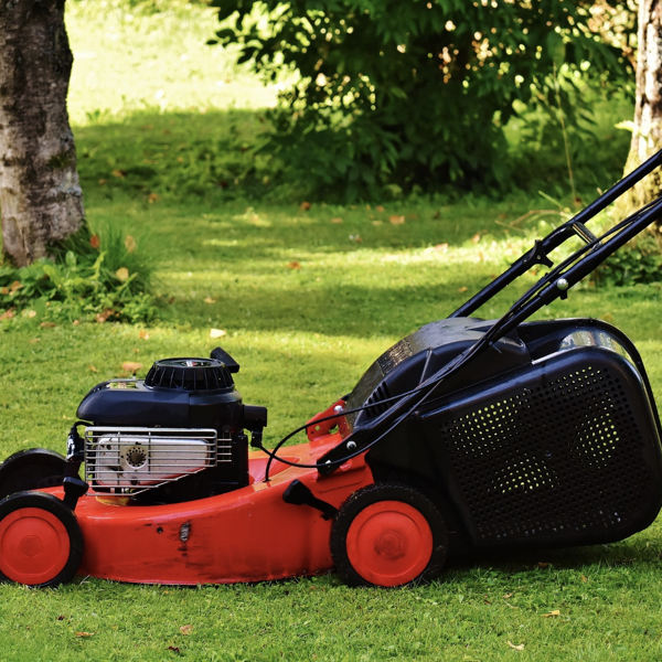 The Real Soil Company tweet media