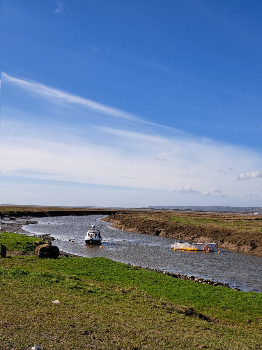 Tracy Rees tweet media