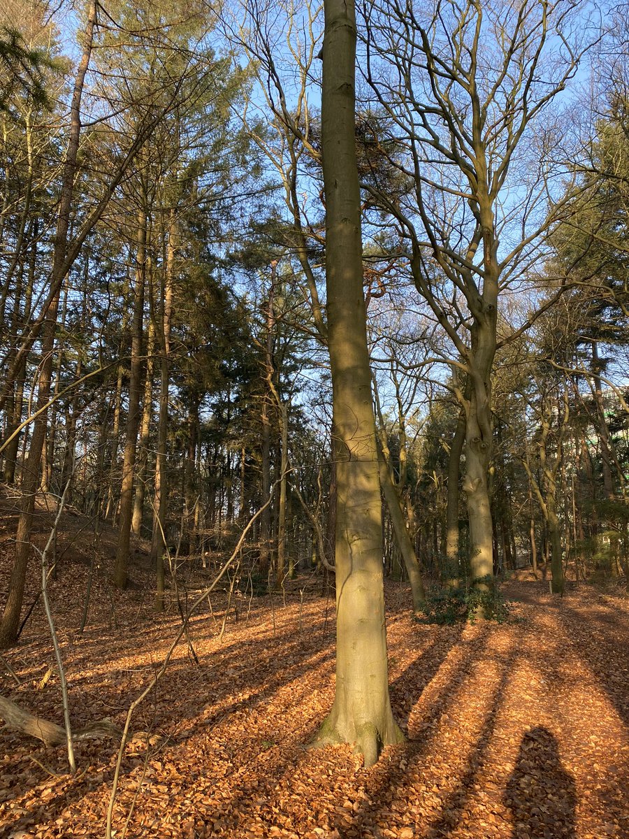 Gisteren heb ik afscheid genomen als griffier van <a href="/PSprovGld/">Provinciale Staten van Gelderland</a> <a href="/provgelderland/">Provincie Gelderland</a> . Na 20 jaar openbaar bestuur ga ik de komende weken als ambteloos ‘burger’ door het leven. Dat bevalt nu al goed 😀