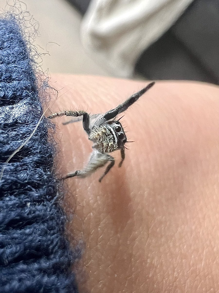 _Laboleyn's tweet image. First time exploring the giant hand that feeds her