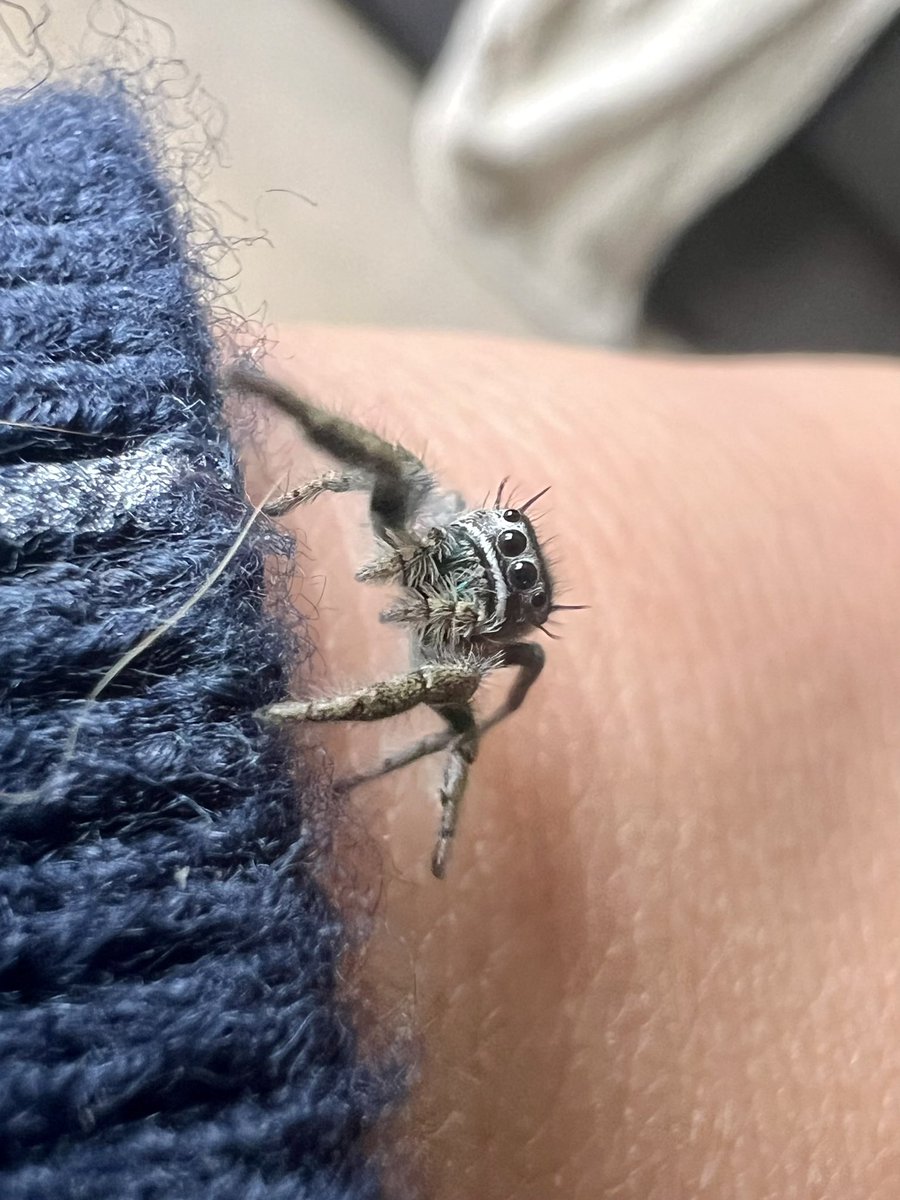 _Laboleyn's tweet image. First time exploring the giant hand that feeds her