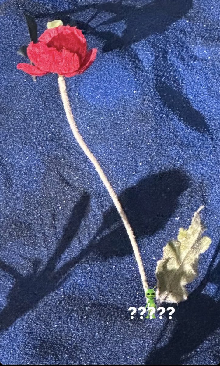 BRIGHTSOO tweet media