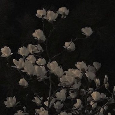 ㅤׁ         ㅤ⛧*ㅤㅤ  ִ  ㅤ   
         ✧ㅤㅤ
                              ❝ 𝑮𝒐𝒐𝒅  𝒎𝒐𝒓𝒏𝒊𝒏𝒈 ❞
                             *.      
           °