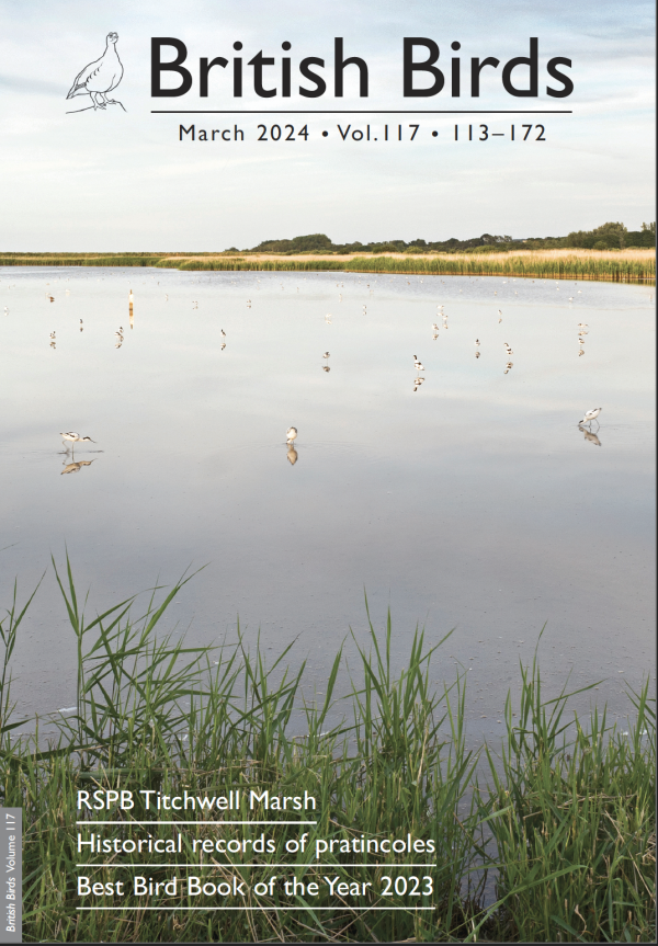 The March issue of British Birds is out and includes a fabulous article on @Natures_Voice Titchwell Marsh, a thought-provoking BBeye on Swifts, historical records of Collared Pratincoles, Best Bird Book of the Year and much more. ➡️bit.ly/3P9dIjz