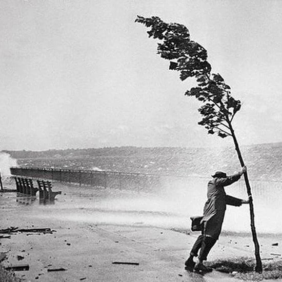 Всё умирает на земле и в море, но человек суровей осуждён:
Он должен знать о смертном приговоре, подписанном, когда он был рождён.
Но, сознавая жизни быстротечность, он так живёт - наперекор всему, - как будто жить рассчитывает вечность и этот мир принадлежит ему.

Самуил  Маршак