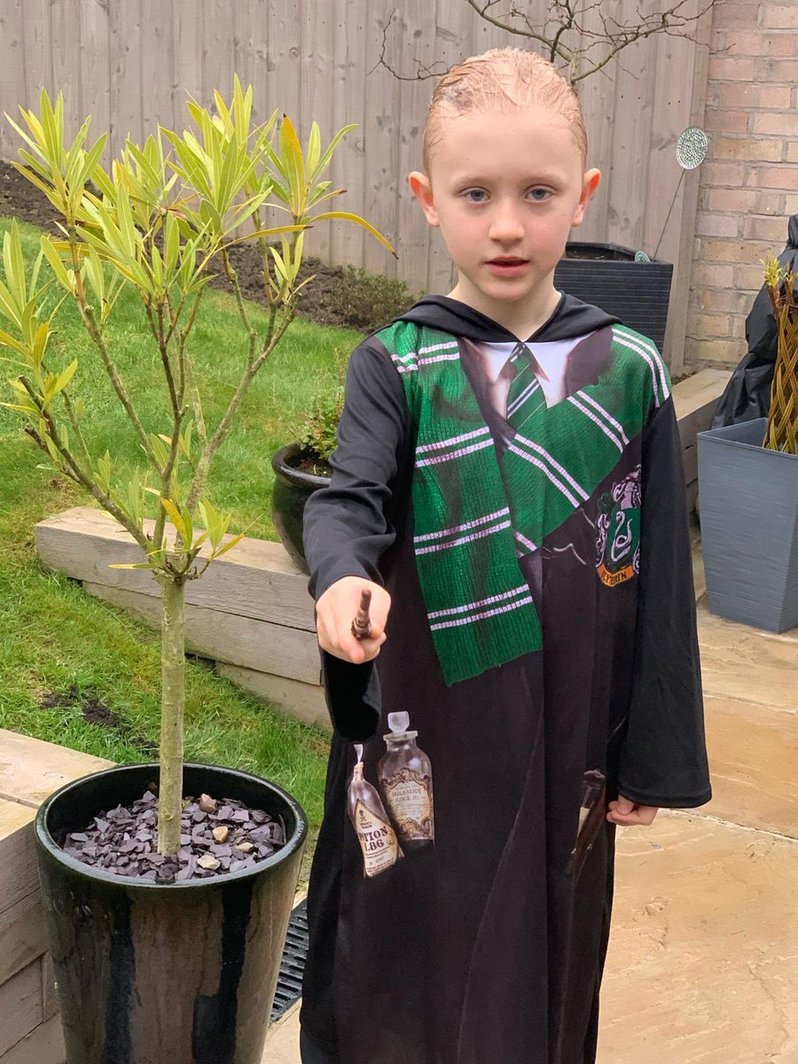 leianKJ's tweet photo. Jude/Draco all ready for World Book Day @MPSClass6 @MapplewellSch #WorldBookDay2024 https://t.co/TZJ4tvO6Jf