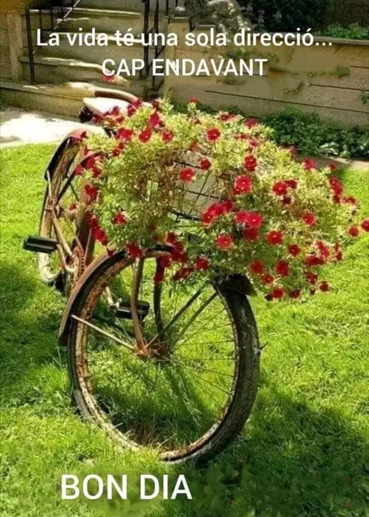 Montserrat Teixidor Freixa 🎗🎗🎗🎗 tweet media