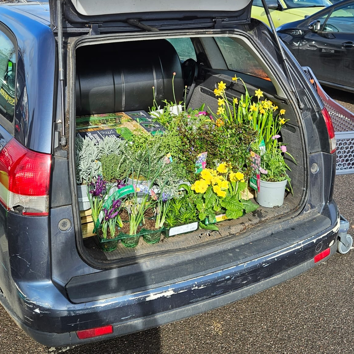 It was a busy day for Nick, who'll be managing our new 🌱 #SouthBristol #DementiaFriendlyAllotment when it opens in (gulp) just over two weeks! 🗓️

The morning was spent shopping for items we'll need there 🛒, and the afternoon was spent at our #NorthBristol site🌳