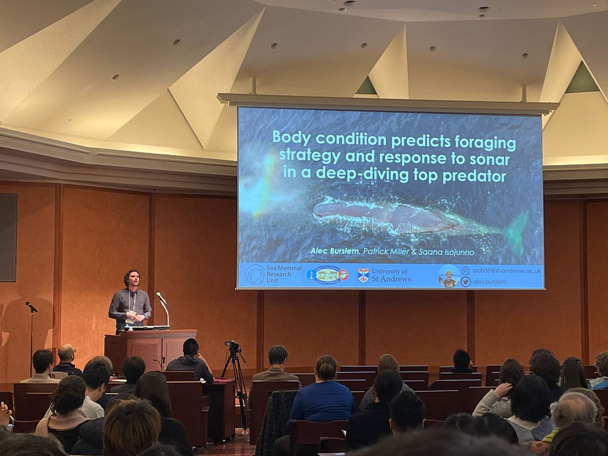 I'm really grateful for the opportunity to give my first conference talk at @bls8tokyo2024, presenting our work on body condition and sonar response in sperm whales. I learned a huge amount from the questions, discussions and other talks, such a unique and exciting meeting!