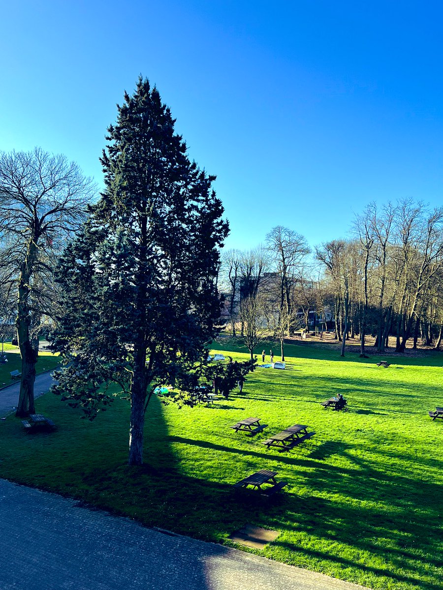 Sophie__Gay's tweet image. Superbe matinée ensoleillée ☀️ sur le campus de #Rouen de @NEOMAbs : l’occasion pour nos étudiants de s’installer sur la pelouse et profiter des premiers beaux jours ! #Neomabs #lifeisgood