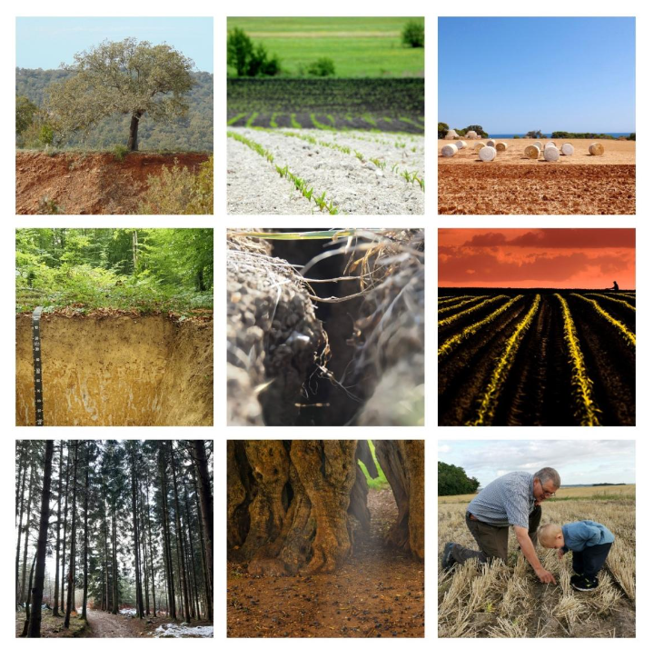 From flowering vineyard soil to dry soil after river floods, the #MissionSoil photo contest winners portrayed soil in many ways Winners provided beautiful pictures, capturing soil as an essential provider for food & an ally for resilience ➡️ europa.eu/!8PK9Wk #EUSoil