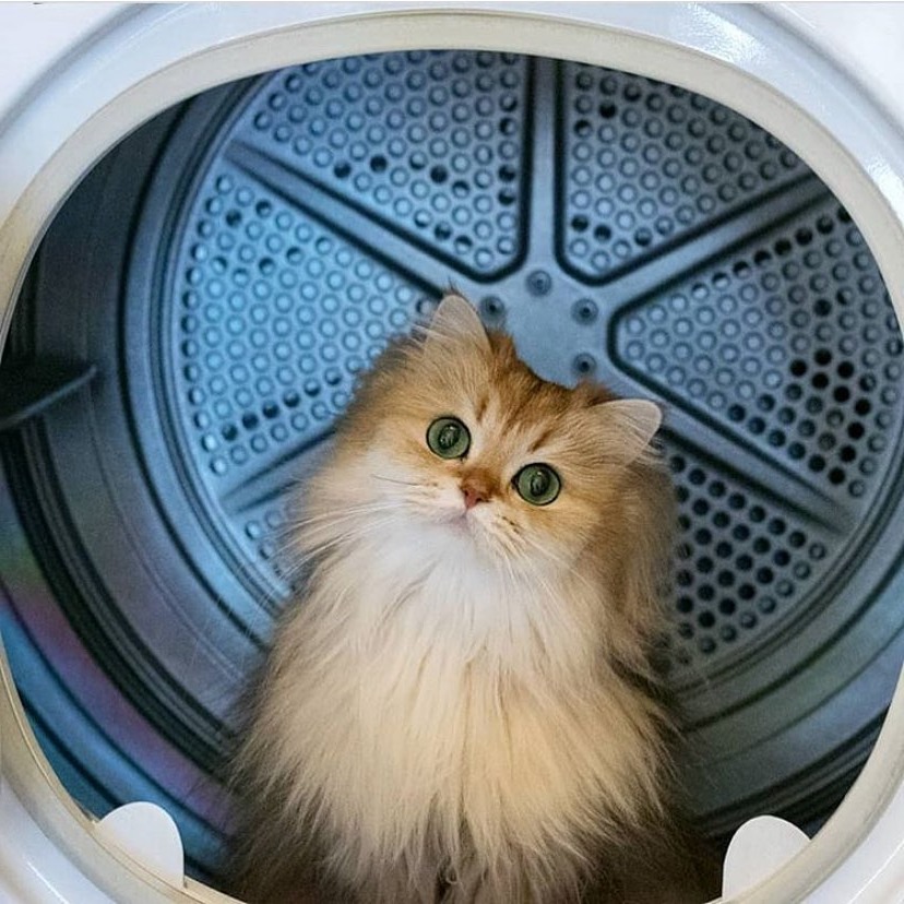 Harrison Heth tweet media