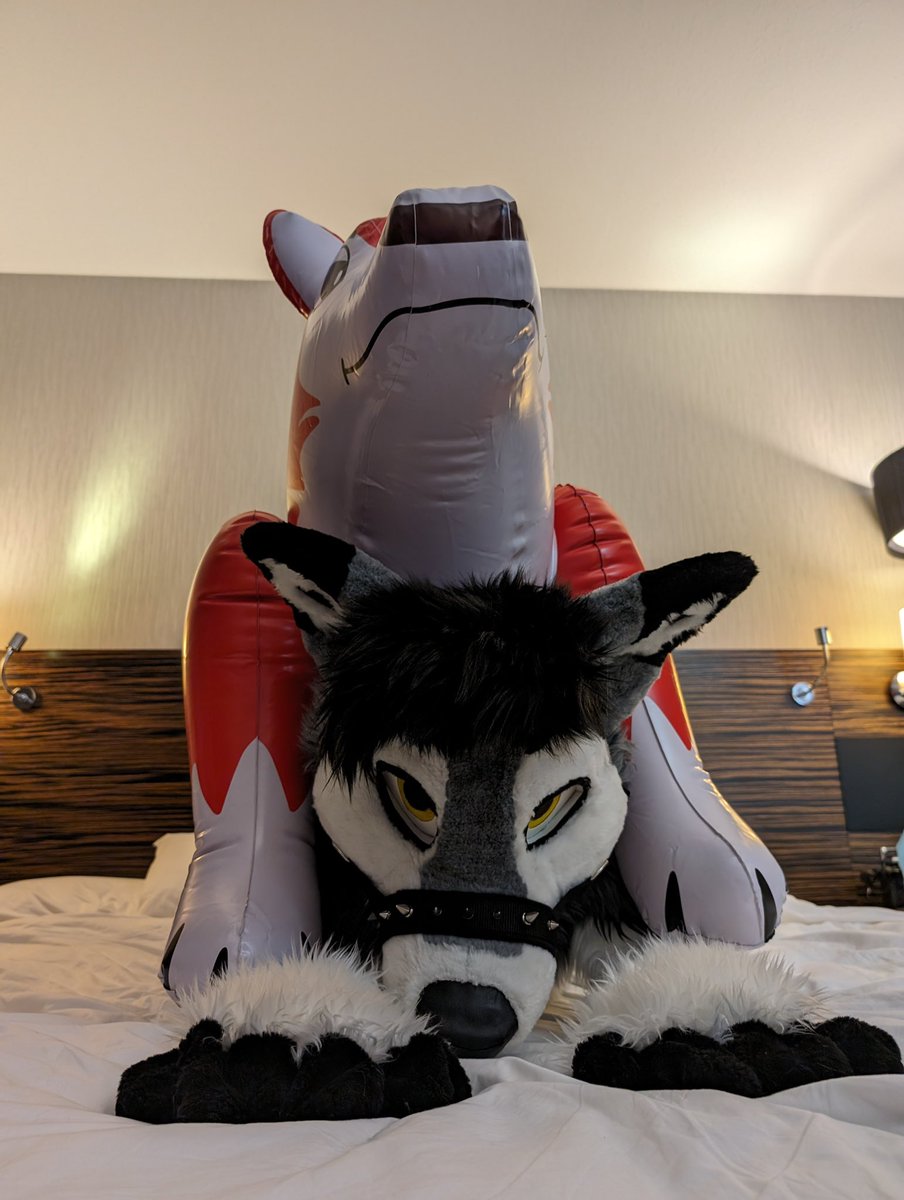 MurdockFox87's tweet photo. Well then what do we have here. Murdock and #Inflatable Doggos ;) 
These lovely photos are by @MaxDragonAction and there partners toys. 
This was such a fun night ^..^#Fursuit #Looner fun https://t.co/qY6SZJWIkV