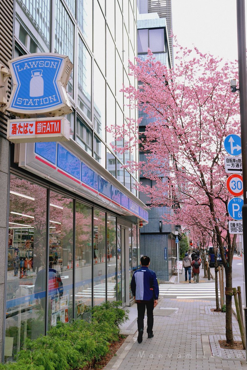 Maevamilktea's tweet photo. Ce matin je suis passée dans la rue la plus rose de Tokyo Japon 🌸🗼
Je la trouve magnifique 😻💮 https://t.co/8ONU6smqax