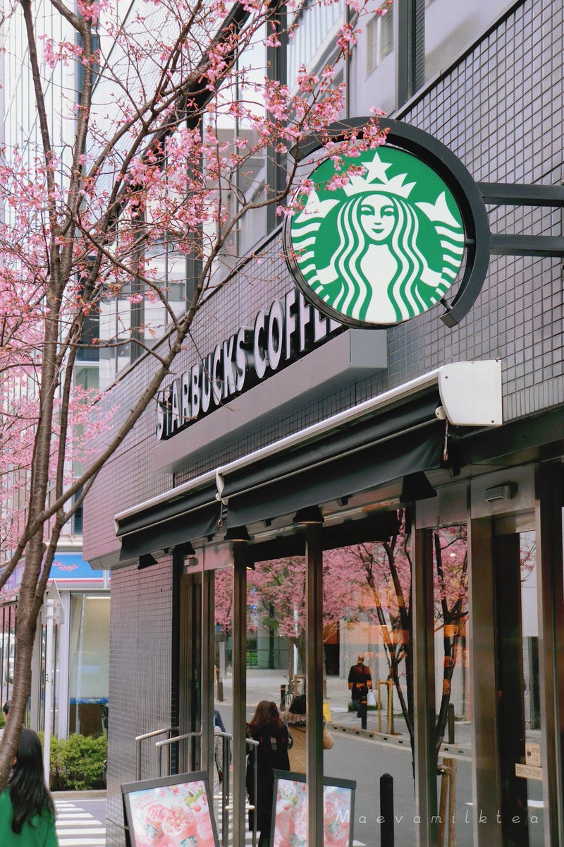 Maevamilktea's tweet photo. Ce matin je suis passée dans la rue la plus rose de Tokyo Japon 🌸🗼
Je la trouve magnifique 😻💮 https://t.co/8ONU6smqax
